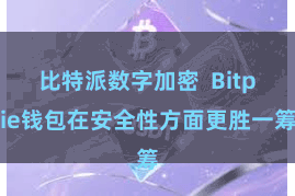 比特派数字加密 Bitpie钱包在安全性方面更胜一筹