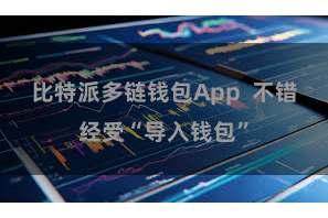 比特派多链钱包App  不错经受“导入钱包”