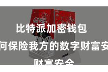 比特派加密钱包  奈何保险我方的数字财富安全